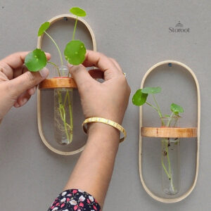 Minimal Ovel Test Tube Wall Planter