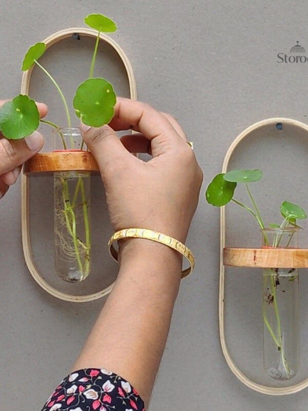 Minimal Ovel Test Tube Wall Planter