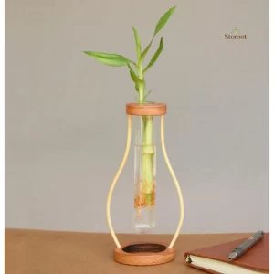 Boca Minimal Bamboo Table top test tube Planter wooden top