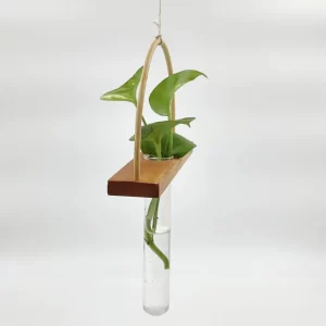 Bogen Bamboo Wood Test Tube Hanging Planter – Minimalist Plant Decor