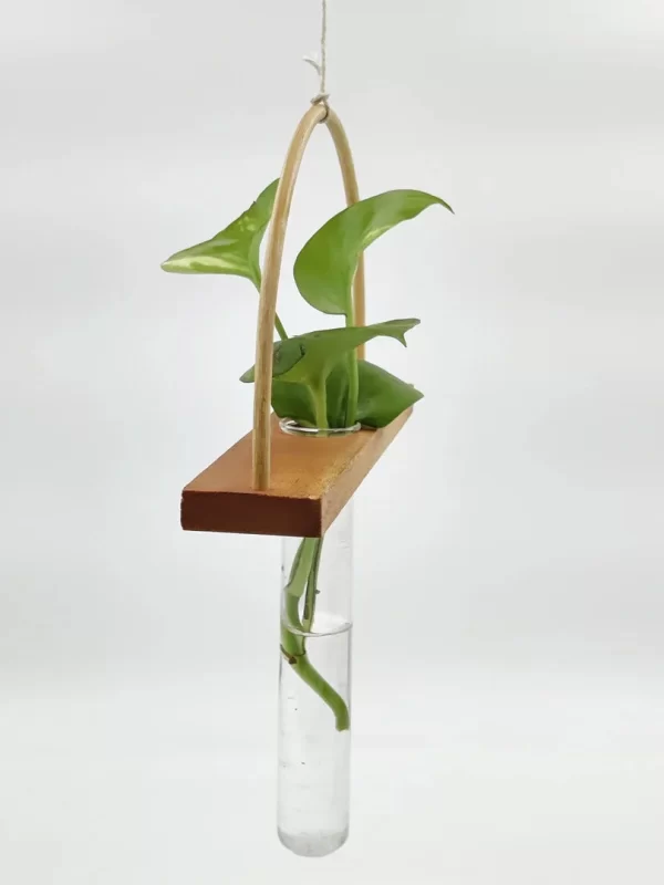 Bogen Bamboo Wood Test Tube Hanging Planter – Minimalist Plant Decor