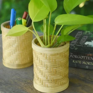 Bamboo Tabletop Planter – wooden Desk Planter for Office & Gifting
