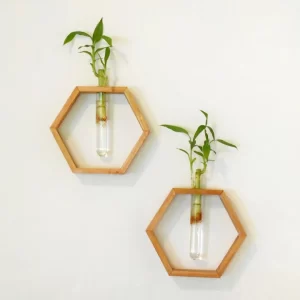 Honeycomb Wooden Wall Hanging Planter - Floating Mahogany Test Tube Decor