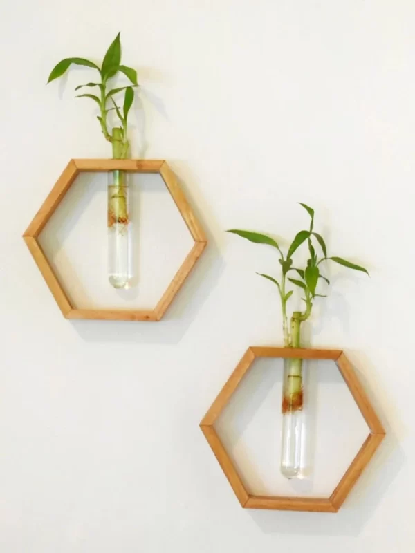 Honeycomb Wooden Wall Hanging Planter - Floating Mahogany Test Tube Decor