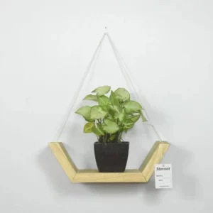 Wooden wall hanging shelf planter