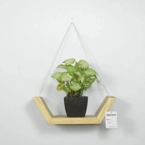 Wooden wall hanging shelf planter