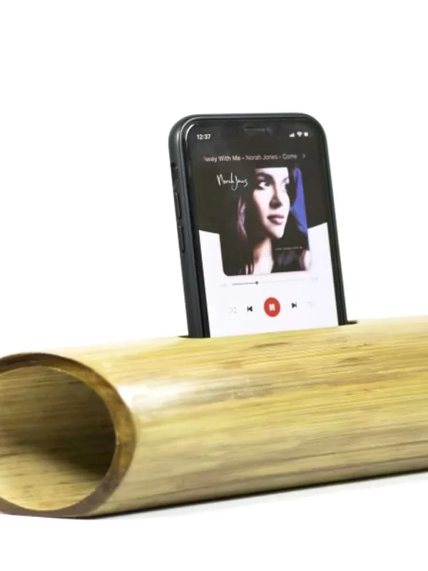 Bamboo Amplifier