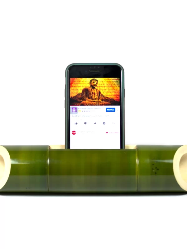 ACOUSTIC AMPLIFIER – WEDGE CUT – GREEN