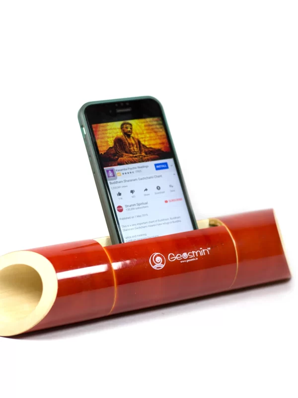 ACOUSTIC AMPLIFIER – WEDGE CUT – RED