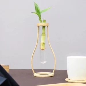 Boca Minimalist Bamboo Tabletop Test Tube Planter