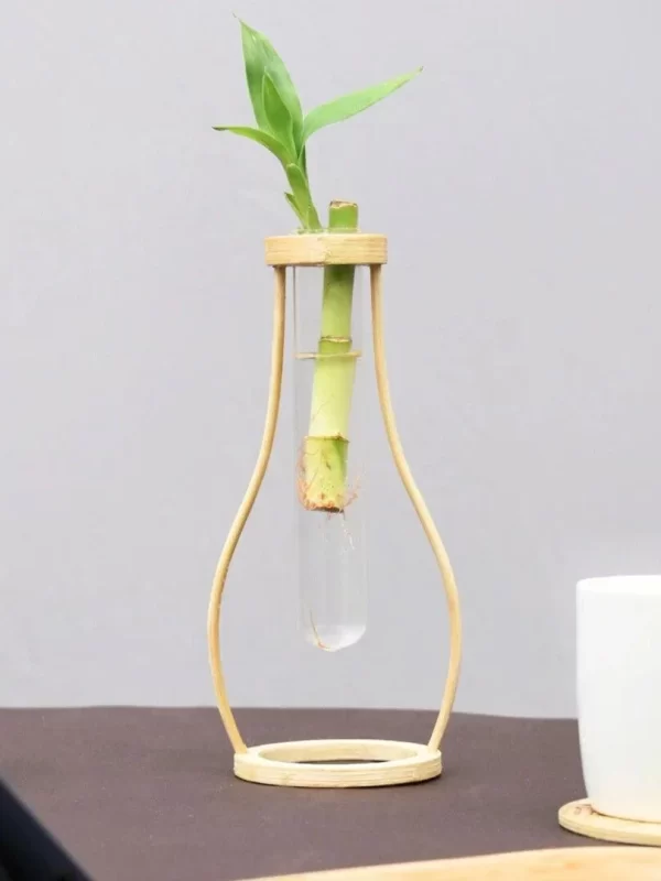 Boca Minimalist Bamboo Tabletop Test Tube Planter