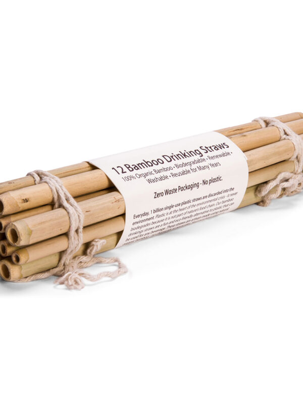 BAMBOO STRAWS-(12) & SISAL FIBER CLEANER-(1)